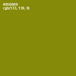 #858B09 - Olive Color Image