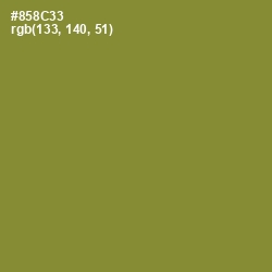 #858C33 - Sycamore Color Image