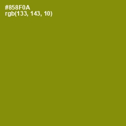 #858F0A - Olive Color Image