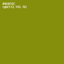 #858F0C - Olive Color Image