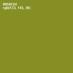 #858F24 - Sycamore Color Image