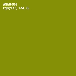 #859006 - Olive Color Image