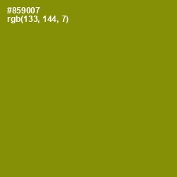 #859007 - Olive Color Image