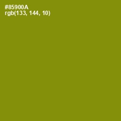 #85900A - Olive Color Image