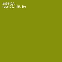 #85910A - Olive Color Image