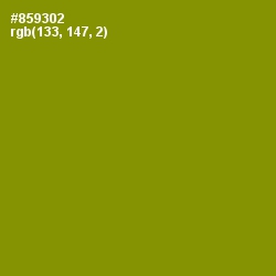 #859302 - Olive Color Image