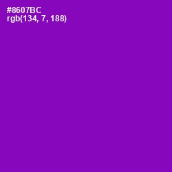 #8607BC - Violet Eggplant Color Image