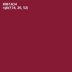 #861A34 - Merlot Color Image