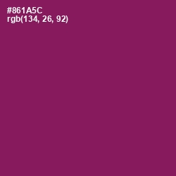 #861A5C - Disco Color Image