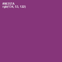 #86357A - Plum Color Image