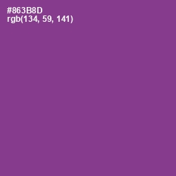 #863B8D - Vivid Violet Color Image