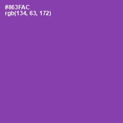#863FAC - Vivid Violet Color Image