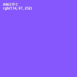 #8657FC - Medium Purple Color Image