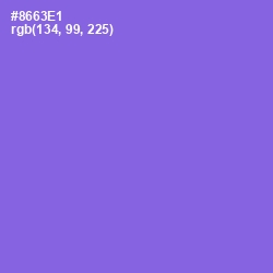 #8663E1 - Medium Purple Color Image