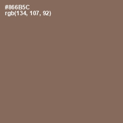 #866B5C - Beaver Color Image