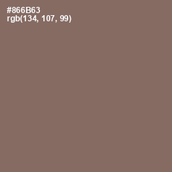 #866B63 - Sand Dune Color Image