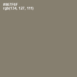 #867F6F - Makara Color Image