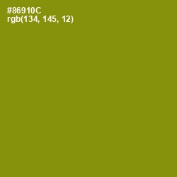 #86910C - Olive Color Image