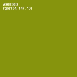 #86930D - Olive Color Image