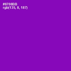 #8708BB - Violet Eggplant Color Image