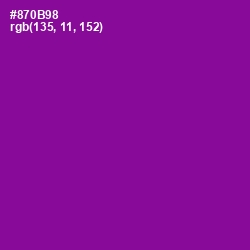 #870B98 - Violet Eggplant Color Image