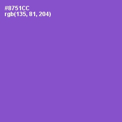 #8751CC - Amethyst Color Image