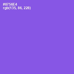#8756E4 - Medium Purple Color Image