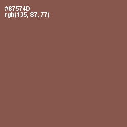 #87574D - Spicy Mix Color Image