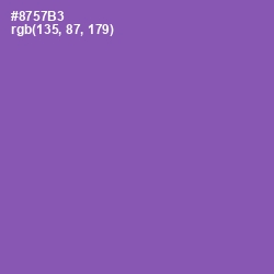 #8757B3 - Wisteria Color Image