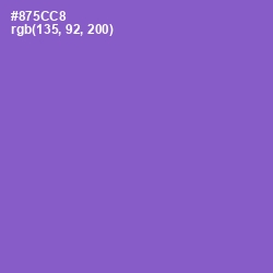 #875CC8 - Amethyst Color Image