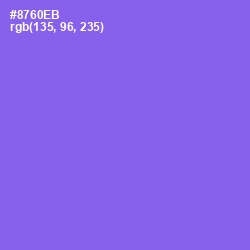 #8760EB - Medium Purple Color Image