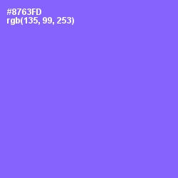 #8763FD - Medium Purple Color Image