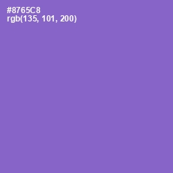 #8765C8 - Amethyst Color Image