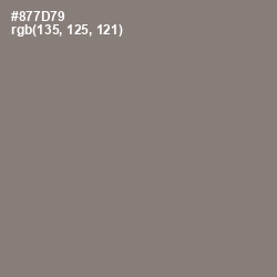 #877D79 - Hurricane Color Image