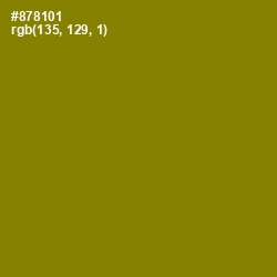 #878101 - Olive Color Image