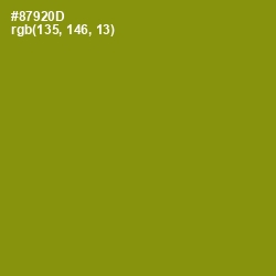 #87920D - Olive Color Image
