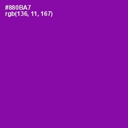 #880BA7 - Violet Eggplant Color Image