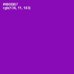 #880BB7 - Violet Eggplant Color Image