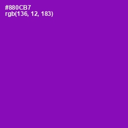 #880CB7 - Violet Eggplant Color Image