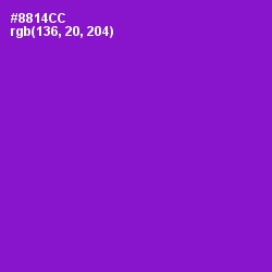 #8814CC - Electric Violet Color Image