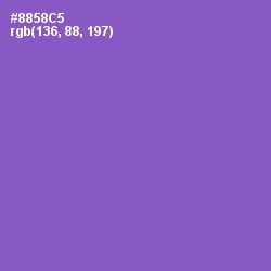 #8858C5 - Amethyst Color Image