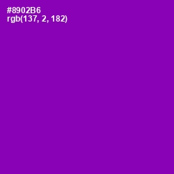 #8902B6 - Violet Eggplant Color Image