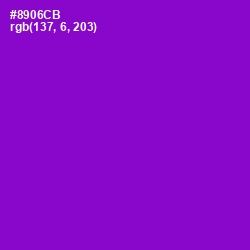 #8906CB - Electric Violet Color Image
