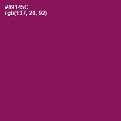#89145C - Disco Color Image
