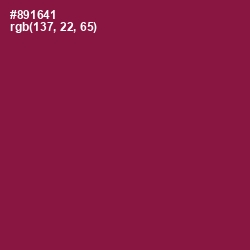 #891641 - Disco Color Image