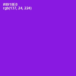 #8918E0 - Electric Violet Color Image