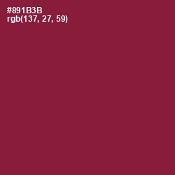 #891B3B - Merlot Color Image