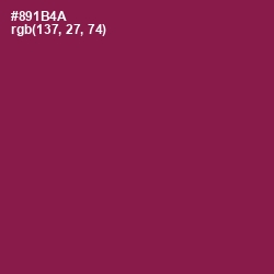 #891B4A - Disco Color Image