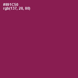 #891C50 - Disco Color Image