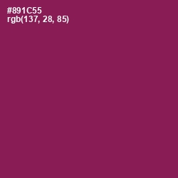 #891C55 - Disco Color Image